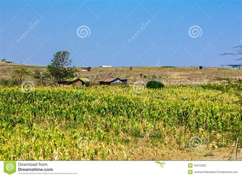 Kenyan Farm Landscape Stock Image Image Of Africa Travel 42473325