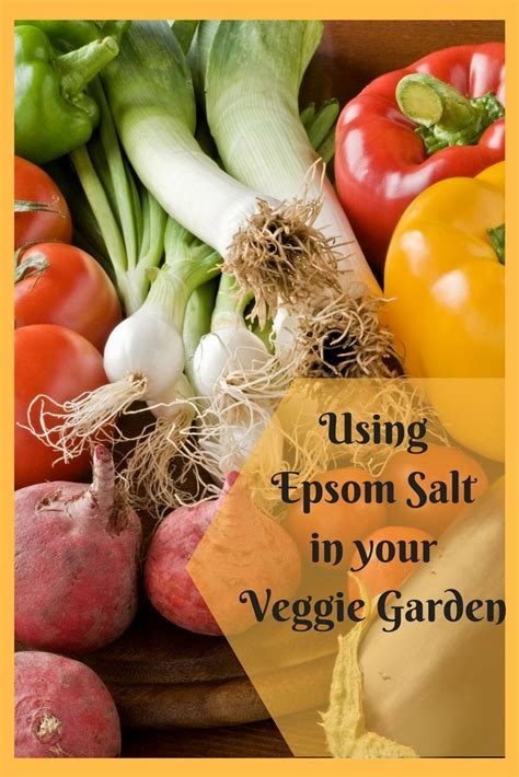 Use Epsom Salt For Growing Vegetables Edible Garden