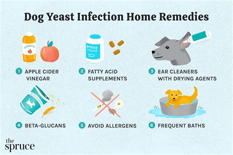 What Causes Yeast Infections In Dogs Paws