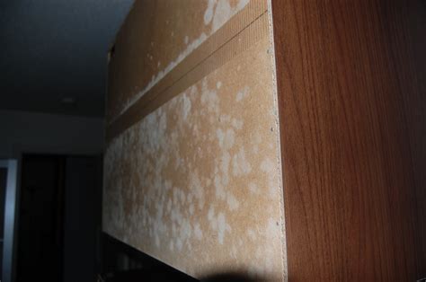 For the wooden cabinet, mix a half cup of cleaner and 1 cup of water. Mold: Mold affected furniture
