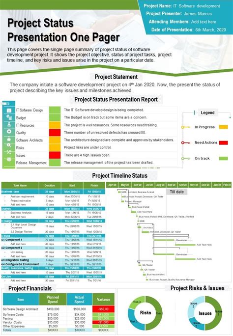 Project Status Presentation One Pager Presentation Report Infographic
