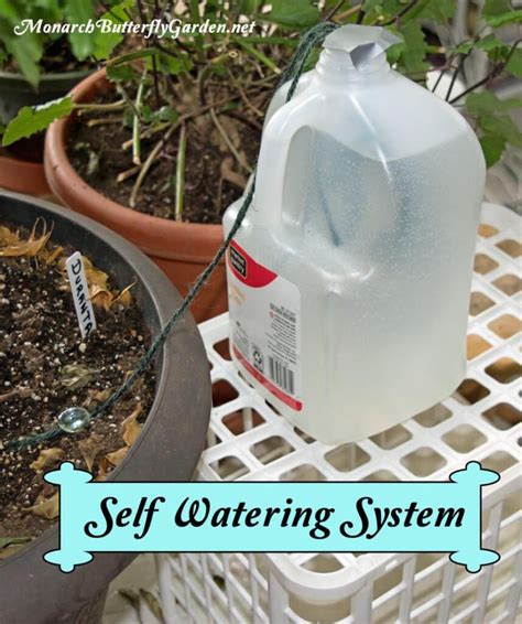 Self Watering System Indoor Diy Self Watering Planter Plant Watering