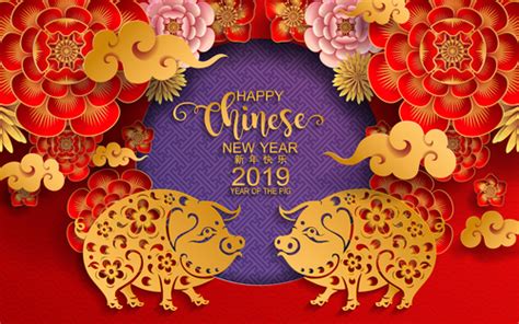 Chinese animal astrology, flying stars are you prepared for 2019? 2019 new year of pig year chinese styles design vector 05 ...