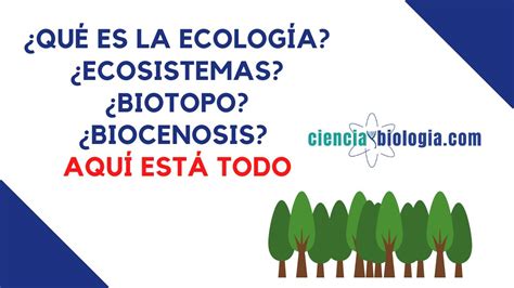 ¿qué Es La EcologÍa 🌳definición De Ecología Ecosistema Biotopo Etc