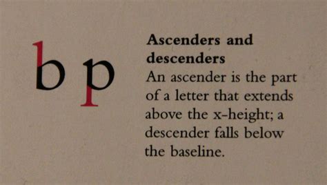 Ascenders Are The Parts That Go Up Above The X Height And Descenders Go