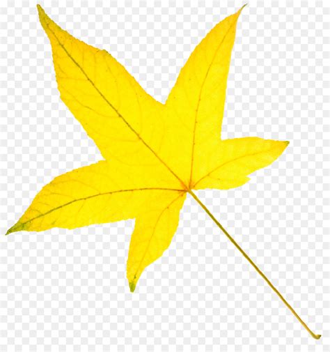 Yellow Leaf Clipart Transparent 10 Free Cliparts Download Images On