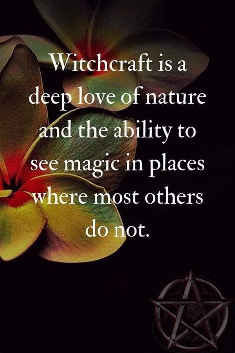 Pinterest Witch Quotes Wiccan Quotes Witchcraft Spell Books