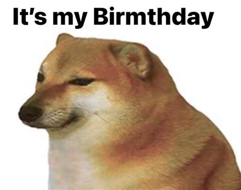 Today Is Cheems Birthday Rdogelore Ironic Doge Memes Know Your