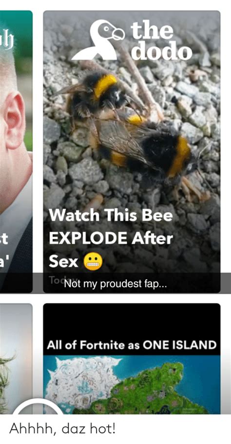 the dodo h watch this bee explode after t sex tonot my proudest fap all of fortnite as one