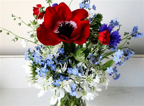 Red Poppies With Blue Cornflower And Blue Forget Me Not Flowers Bouquet