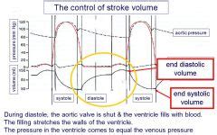 During diastole, filling of the ventricles normally increases the volume of each ventricle, this volume is called? CVS Revision Quiz Flashcards - Cram.com
