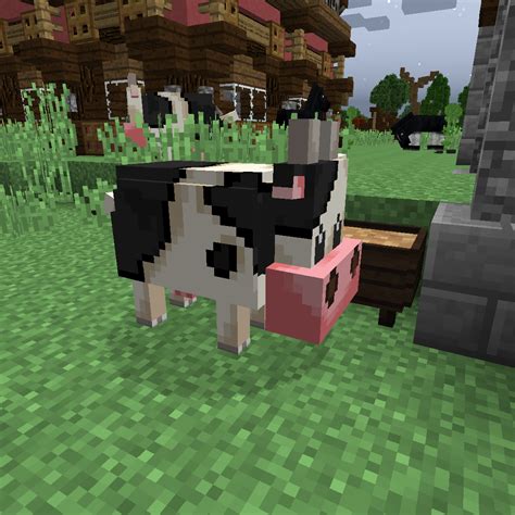 Minecraft Cow Spawn ~ Spawn Daisy 9minecraft Biomes Cornflower Flowery