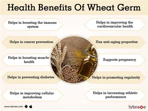 Benefits Of Wheat Germ And Its Side Effects Lybrate