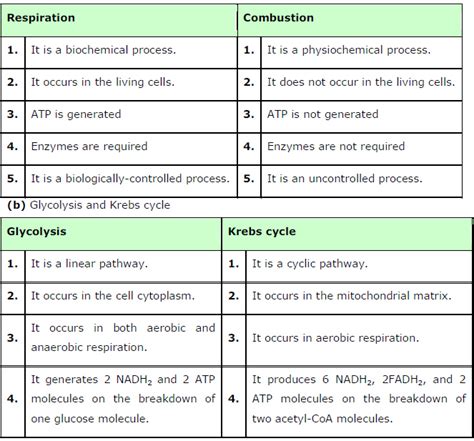 Howstuffworks looks at the differences between them. Respiration in Plants ncert solution class 11 Biology