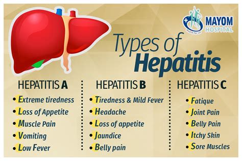Hepatitis B Causes Jaundice Mightyadvice