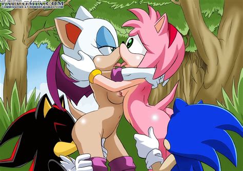363690 Amy Rose Palcomix Rouge The Bat Shadow The Hedgehog Sonic Team