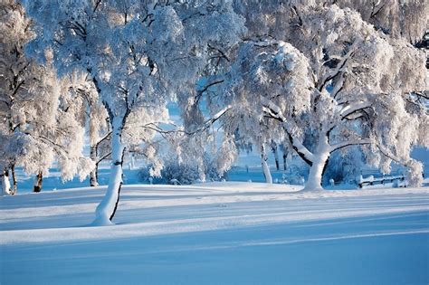 Winter Wonderland James Gordon Photography