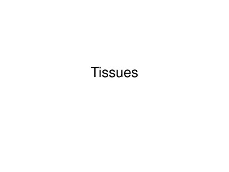 Ppt Tissues Powerpoint Presentation Free Download Id1819273