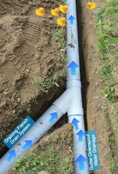 We did not find results for: Installation of underground pipes for draining french ...