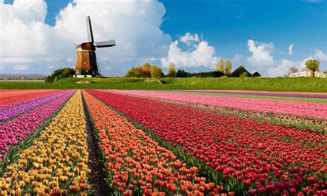 Studying in holland offers a world of opportunity and holland international study centre is your first step to a degree taught in english. Landschap - Provincie Zuid-Holland