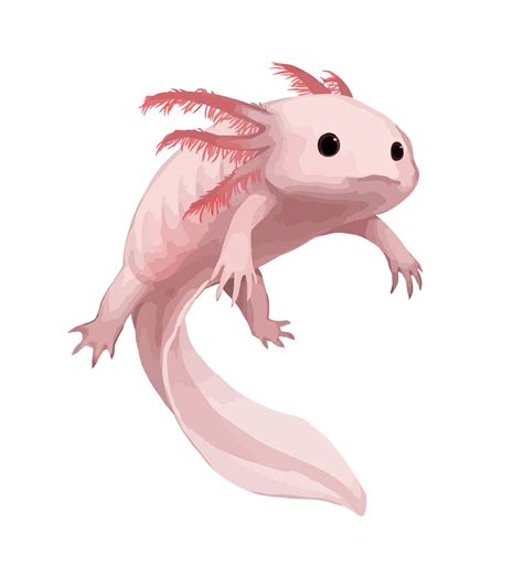 Image Result For Axolotl Axolotl Animal Drawings Cute Animal Drawings