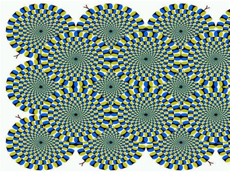 Brain Teasers Optical Illusions Info