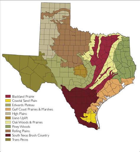Ecological Regions Of Texas Download Scientific Diagram