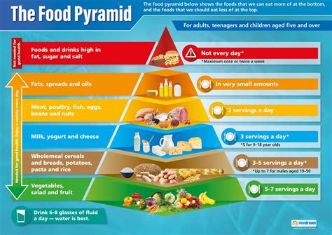 Buy The Food Pyramid PE Posters Gloss Paper Measuring 850mm X 594mm