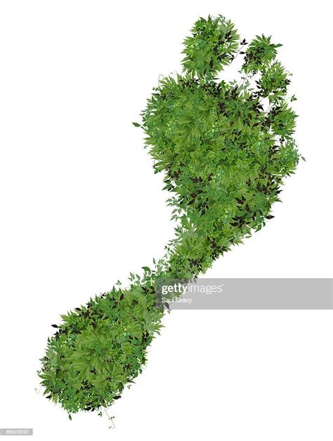 Footprint Made From Leaves High Res Vector Graphic Getty Images