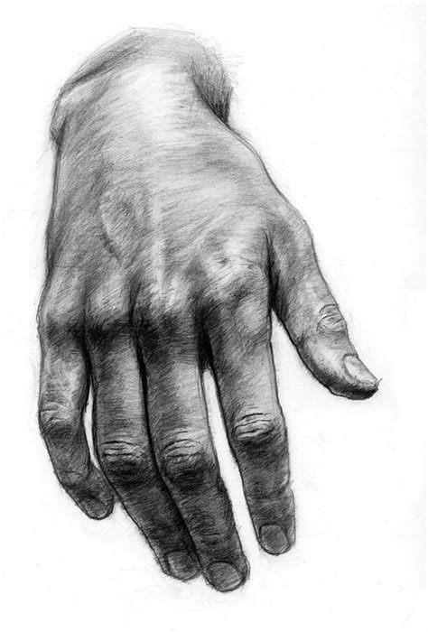 The 25 Best Hand Drawings Ideas On Pinterest How To Draw Hands Art