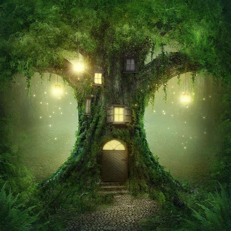 Amazon Enchanted Forest Backdrop Princess Secret Garden Forest