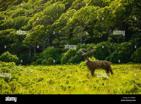 Jane Walker Stockfotos und -bilder Kaufen - Alamy