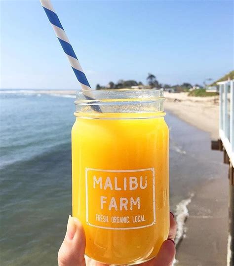 Who Would You Sit Here With 🌊🍹 Summer Continues Malibufarm 📸
