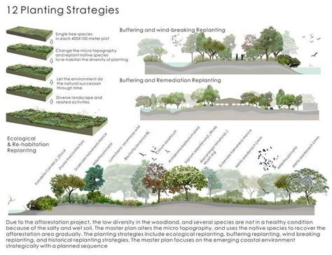 Landscape Gardening Supplies Landscape Diagram Landscape