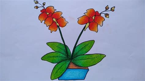 Detail Gambar Mewarnai Bunga Anggrek Koleksi Nomer 3