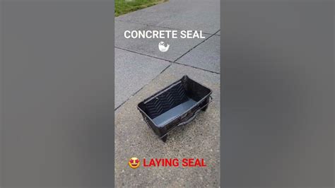 🤩 Laying Aggregate Seal 🦭 Youtube