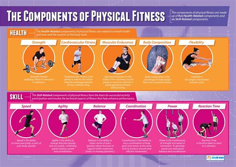 Buy Components Of Physical Fitness Pe Posters Laminated Gloss Paper Measuring 33” X 235