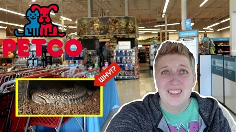 WHY DOES PETCO SELL THESE? | Petco Vlog - YouTube