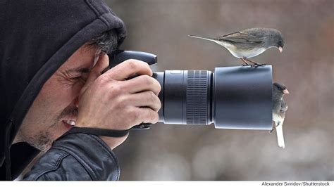 The Best Photography Tips For Bird Watchers Pcmag