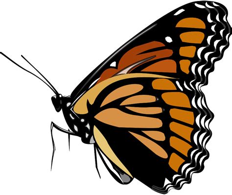 Clip Art Free Monarch Butterfly