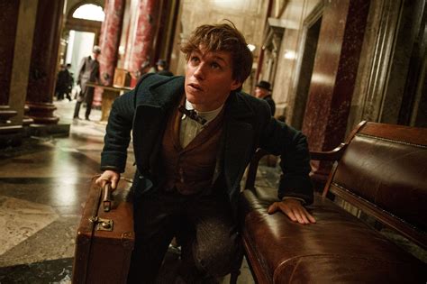 Review Fantastic Beasts And Where To Find Them Slant Magazine