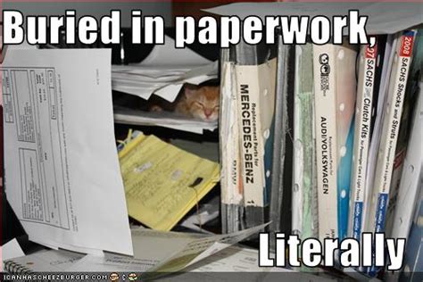 Buried In Paperwork Literally Cheezburger Funny Memes Funny Pictures