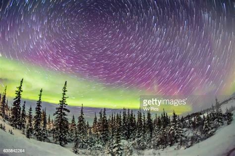 Circumpolar Stars Photos And Premium High Res Pictures Getty Images