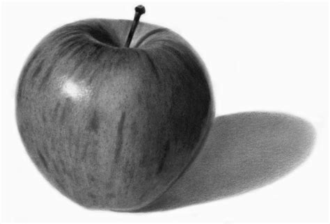Realistic Apple Drawing At Explore Collection Of