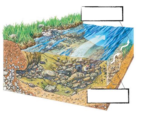 Erosion By Water Rill Gully Sheet And Stream Erosion Diagram Quizlet