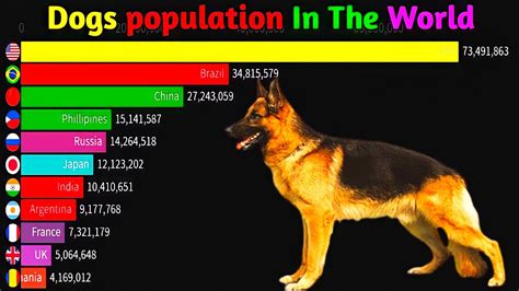 Top Countries By Dog Population Youtube