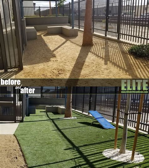 Invest in the best artificial grass for dogs to give your pets an outdoor space that's free of these hidden hazards. Pin by Elite Artificial Grass on Dog & Pet Turf | Pet turf, Fake grass for dogs, Artificial grass