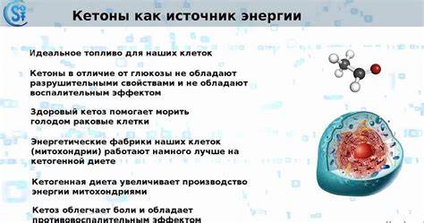 Кетогенная диета отзывы при эпилепсии