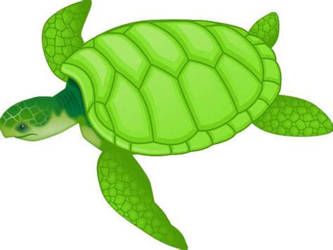 Sea Turtle On Sea Turtles Crafts And Clip Art Wikiclipart