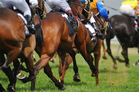 Just a little bit more. A Day at the Races: How to Watch Horse Racing in Tokyo ...